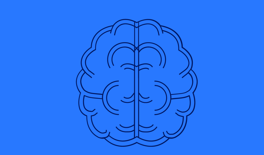 Viden, Hjerne (Blå)